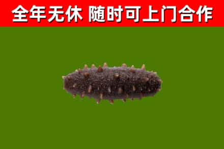 海林烟酒回收干海参.jpg